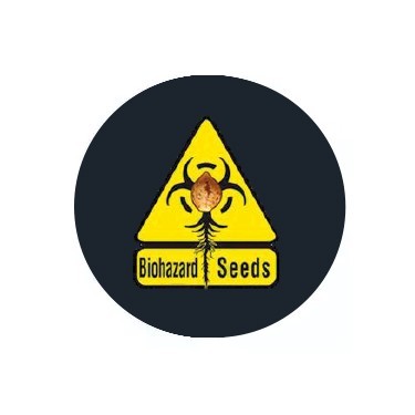 Semillas autoflorecientes Biohazard Seeds